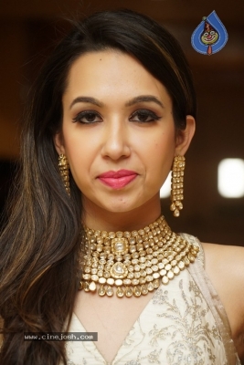 Model Ankita Sethi Latest Pics - 6 of 15