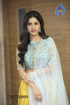 Nabha Natesh New Photos - 4 of 28