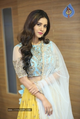 Nabha Natesh New Photos - 8 of 28