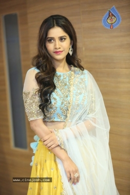 Nabha Natesh New Photos - 13 of 28