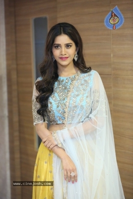 Nabha Natesh New Photos - 20 of 28