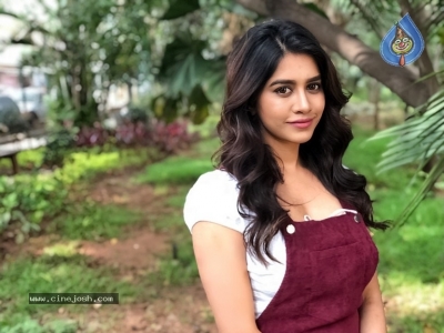 Nabha Natesh New Photos - 2 of 8