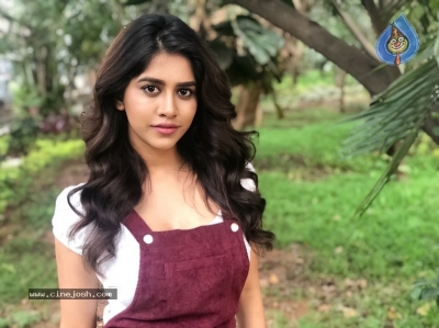 Nabha Natesh New Photos - 4 of 8