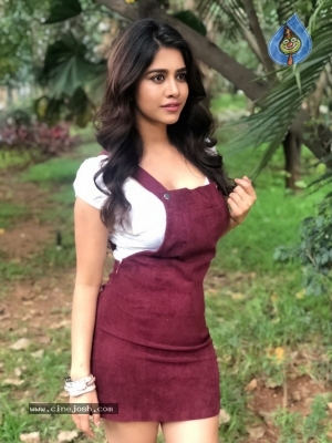 Nabha Natesh New Photos - 7 of 8