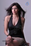 Nandini Hot Photo Gallery - 2 of 59