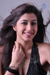 Nandini Hot Photo Gallery - 51 of 59