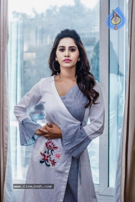 Nannu Dochukunduvate Heroine Nabha Natesh Photos - 6 of 10