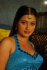 Navneet Kaur Spicy Gallery - 20 of 77