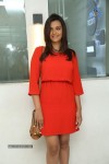 Nazia Hussain New Photos - 7 of 50