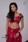 Neelam Upadhyay New Hot Pics - 50 of 84