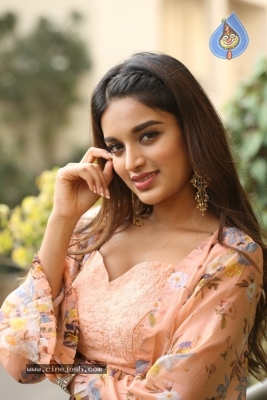 Nidhhi Agerwal Photos - 3 of 31