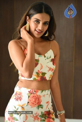 Nidhhi Agerwal Pics - 19 of 19