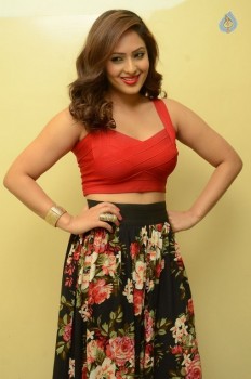 Nikesha Patel New Images - 21 of 41