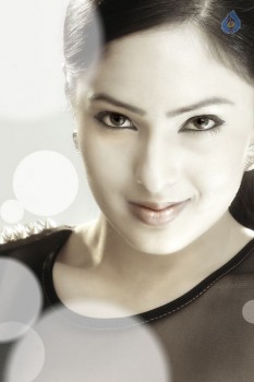 Nikesha Patel Photo Shoot Photos - 11 of 12