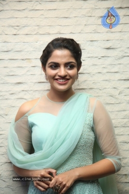 Nikhila Vimal Latest Stills - 19 of 20