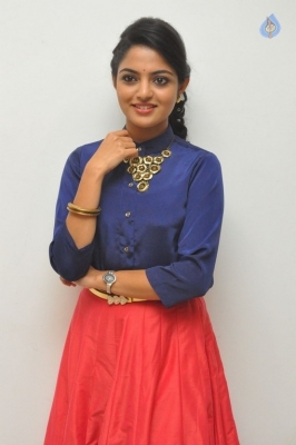 Nikhila Vimal New Photos - 5 of 15