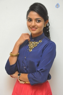 Nikhila Vimal New Photos - 11 of 15