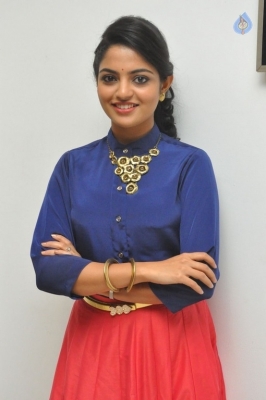 Nikhila Vimal New Photos - 12 of 15