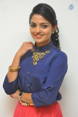 Nikhila Vimal New Photos - 15 of 15