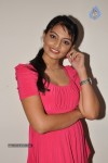 Nikita Narayan Hot Photos - 31 of 44