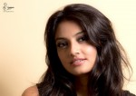 Nikitha Narayan Hot Pics - 14 of 16