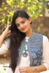 Nikitha Narayan Latest Photos - 51 of 56