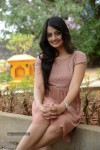 Nikitha Narayan New Gallery - 15 of 108