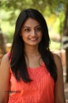 Nikitha Narayan New Pics - 1 of 56