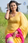 Nikitha Narayan New Stills - 64 of 108