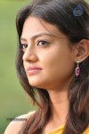 Nikitha Narayan New Stills - 85 of 108