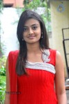 Nikitha Narayan Stills - 5 of 40