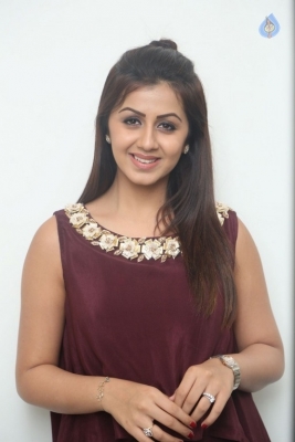Nikki Galrani Latest Photos - 2 of 31