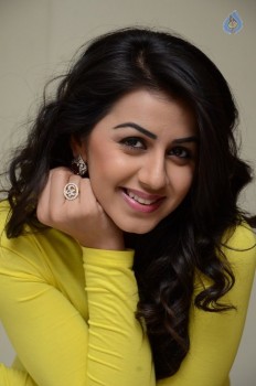 Nikki Galrani New Photos - 3 of 37