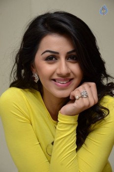 Nikki Galrani New Photos - 11 of 37