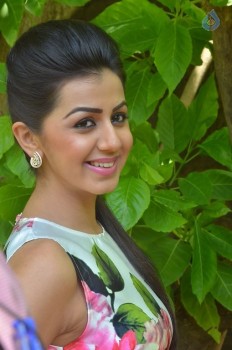 Nikki Galrani New Photos - 9 of 27