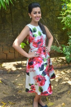 Nikki Galrani New Photos - 15 of 27