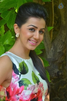 Nikki Galrani New Photos - 17 of 27