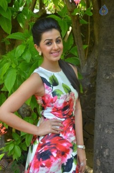 Nikki Galrani New Photos - 18 of 27