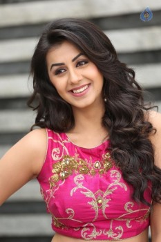 Nikki Galrani New Pics - 14 of 47