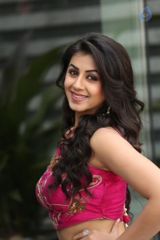 Nikki Galrani New Pics - 19 of 47