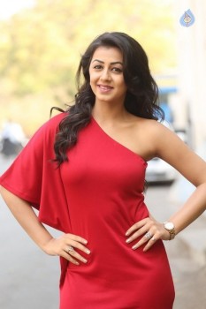 Nikki Galrani New Pics - 51 of 54