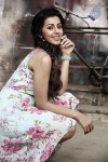 Nikki Galrani New Stills - 14 of 15