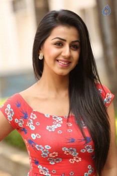 Nikki Galrani Photos - 3 of 28