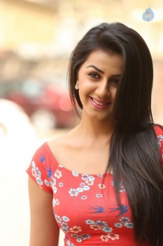 Nikki Galrani Photos - 4 of 28