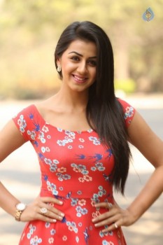 Nikki Galrani Photos - 9 of 28