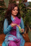 Nisha Agarwal Hot Stills - 60 of 61