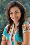 Nisha Agarwal Latest Gallery - 99 of 104