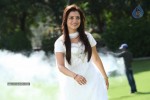 Nisha Agarwal New Pics - 53 of 58