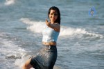 Nisha Kothari Spicy Gallery 2  - 7 of 62