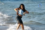 Nisha Kothari Spicy Gallery 2  - 12 of 62